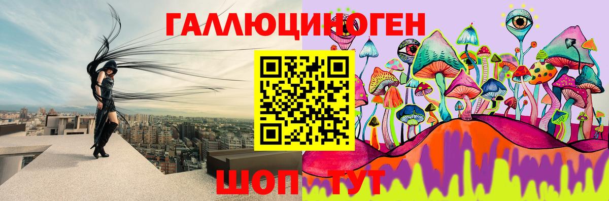 где найти наркотики  Вход с VPN  Кувандык  Галлюциногенные грибы MAGIC MUSHROOMS 